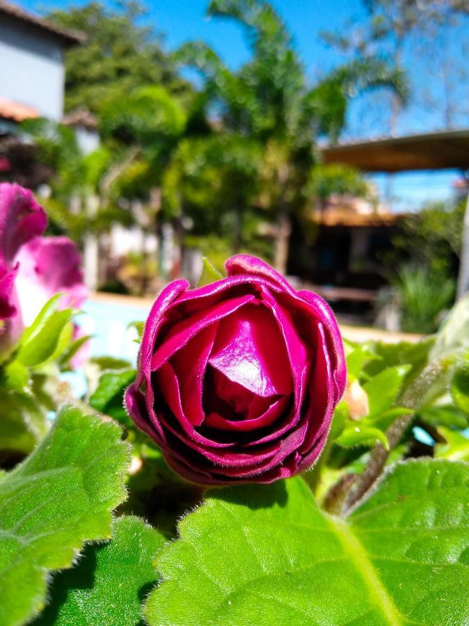 Jardim Secreto Guest House Búzios 외부 사진